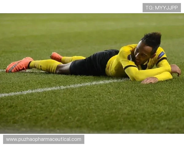 加蓬队奖金拖欠引发罢训，备战条件恶劣难阻赛场取胜